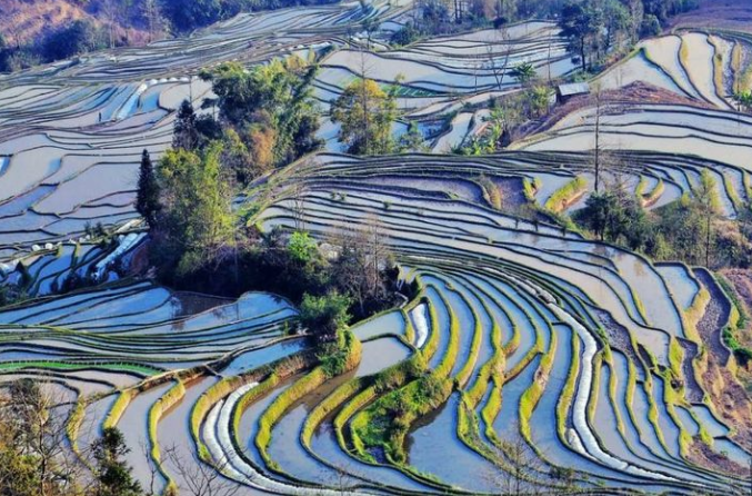 中国十大最具魅力湿地哈尼梯田国家湿地公园