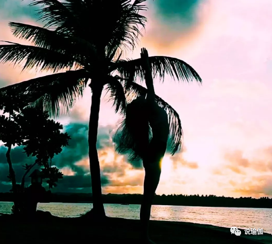 拜日式-一个简单重复的瑜伽体式序列，为什么会有如此神奇的力量？