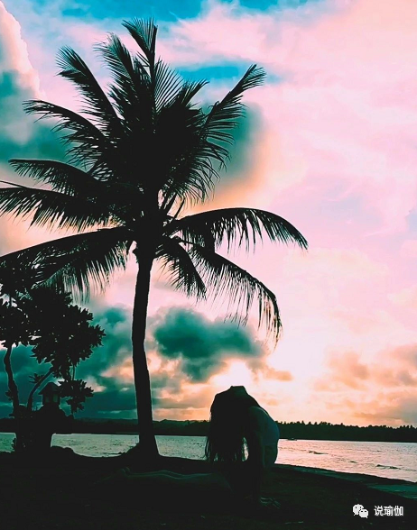 拜日式-一个简单重复的瑜伽体式序列，为什么会有如此神奇的力量？