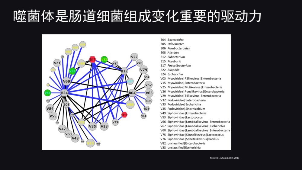 图文实录马迎飞让肠道噬菌体研究不再小众4大魅力深深吸引我