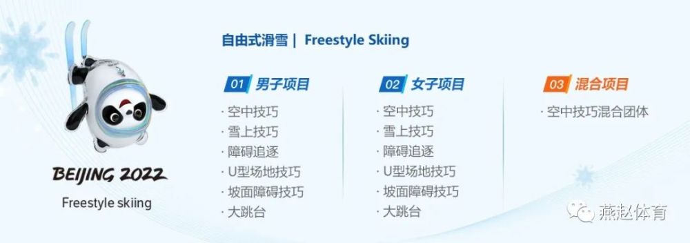 冰雪项目科普自由式滑雪