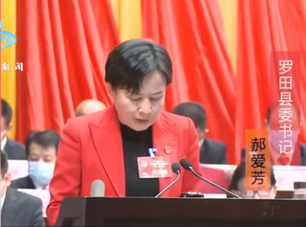 向10种作派宣战!湖北这一女县委书记发言火了