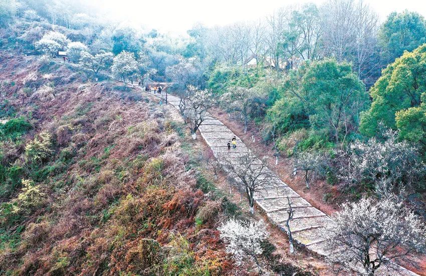 我们记住了梅岭这条路,可不能忘掉了南安这座城