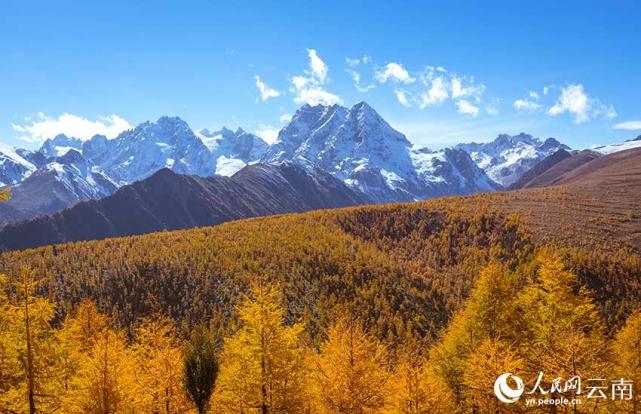 云南白马雪山国家级自然保护区秋景大片上线