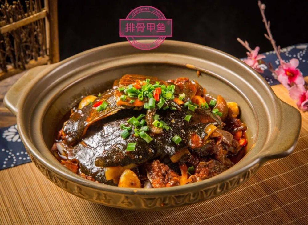 排骨甲鱼小吃货们,快来一探究竟!多款美味即将承包你的味蕾.