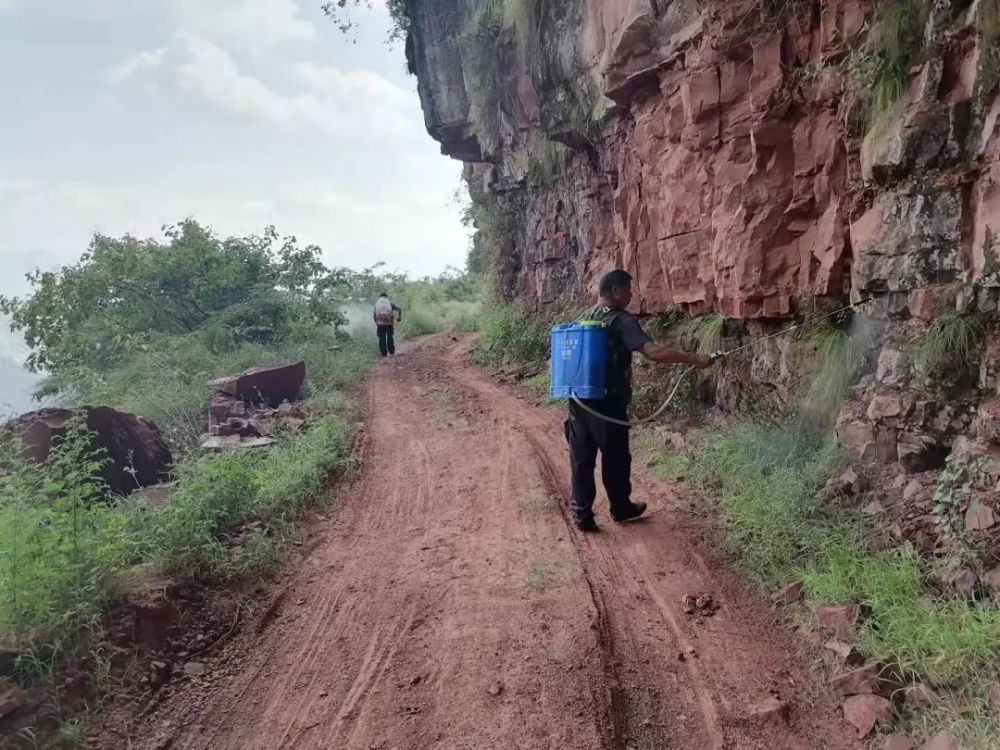 瞧瞧,不能放过任何一个细小的缝隙……"近日,在元谋县姜驿乡贡茶村,乡