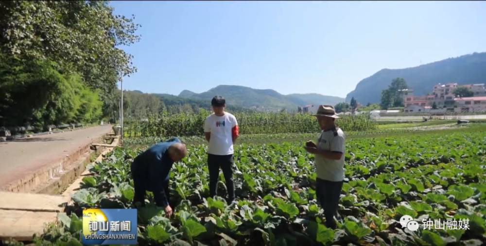 走进乡村看小康丨钟山区大河镇大桥村菜篮子里的幸福和小康