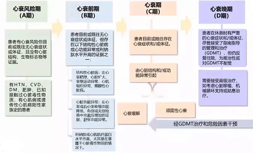 甚至血流动力学和生物标志物特征也与心衰有重叠,且这类患者也确实