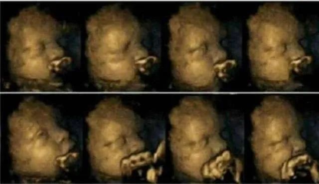 来嫂特别报道:宝宝在妈妈的肚子里做什么?跟你说,超忙!