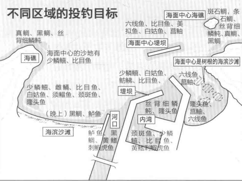 日本专业海钓入门书籍海钓投钓选好钓点对象鱼中鱼无数