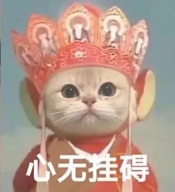 微信热门可爱表情包哈哈真好玩