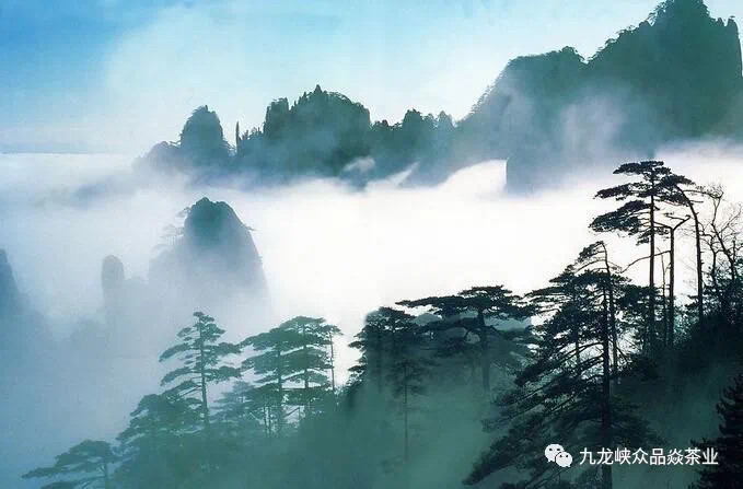 武夷山好山好水好风景没去过的朋友可以去看看