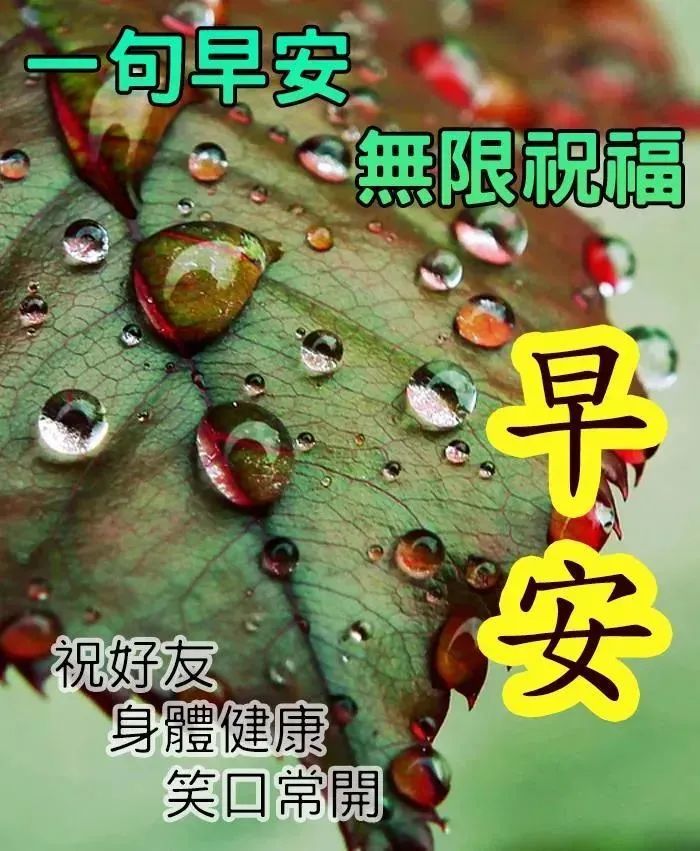 2021年11月2日早安微信问候语祝福精选,早上好问候祝福短信