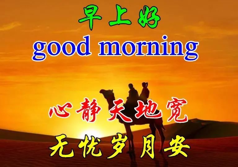 11月最新秋日清早问候大家早上好的早安祝福语图片最新早晨好问候祝福
