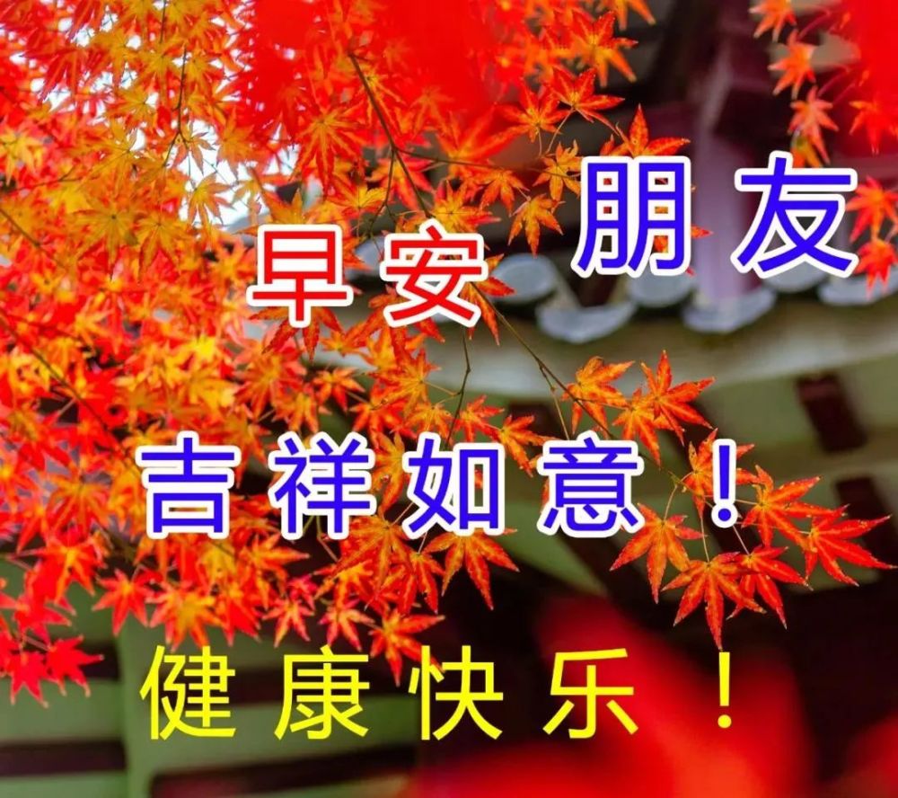 11月04日早上好每日问候