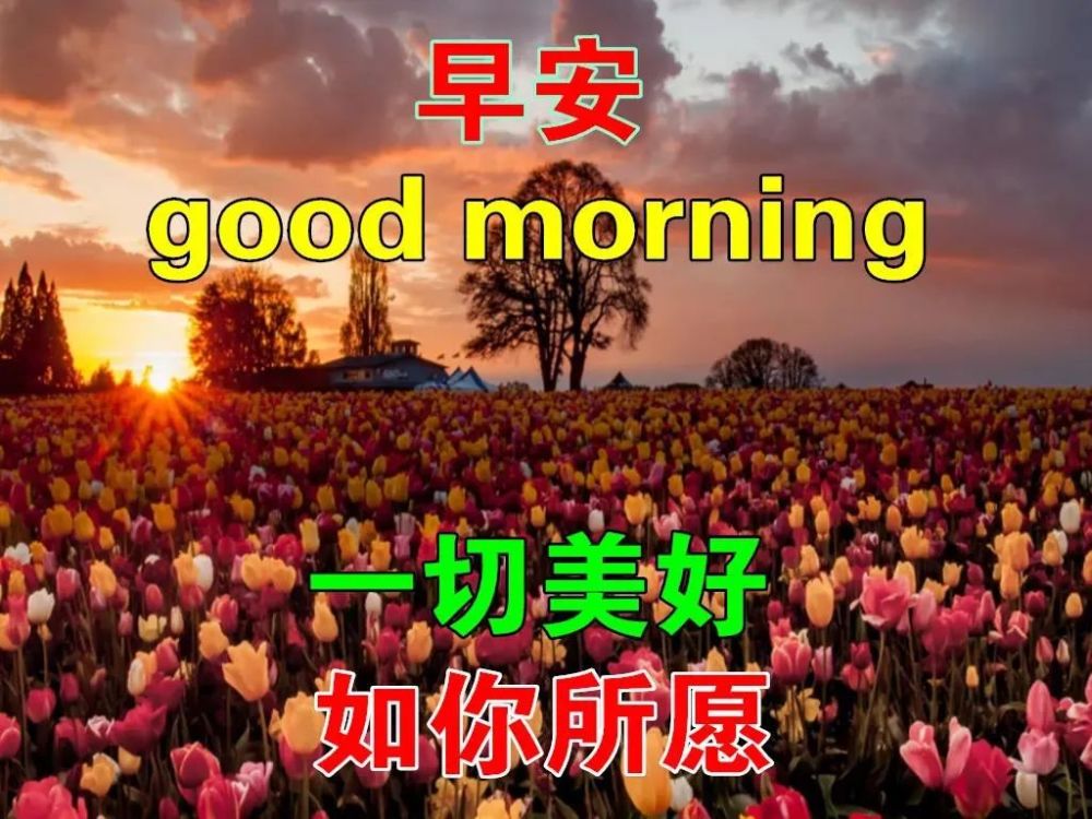 11月最新秋日清早问候大家早上好的早安祝福语图片最新早晨好问候祝福