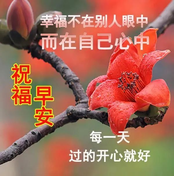 非常漂亮的早安问候语早上好发给朋友的微信浪漫简短问候祝福语