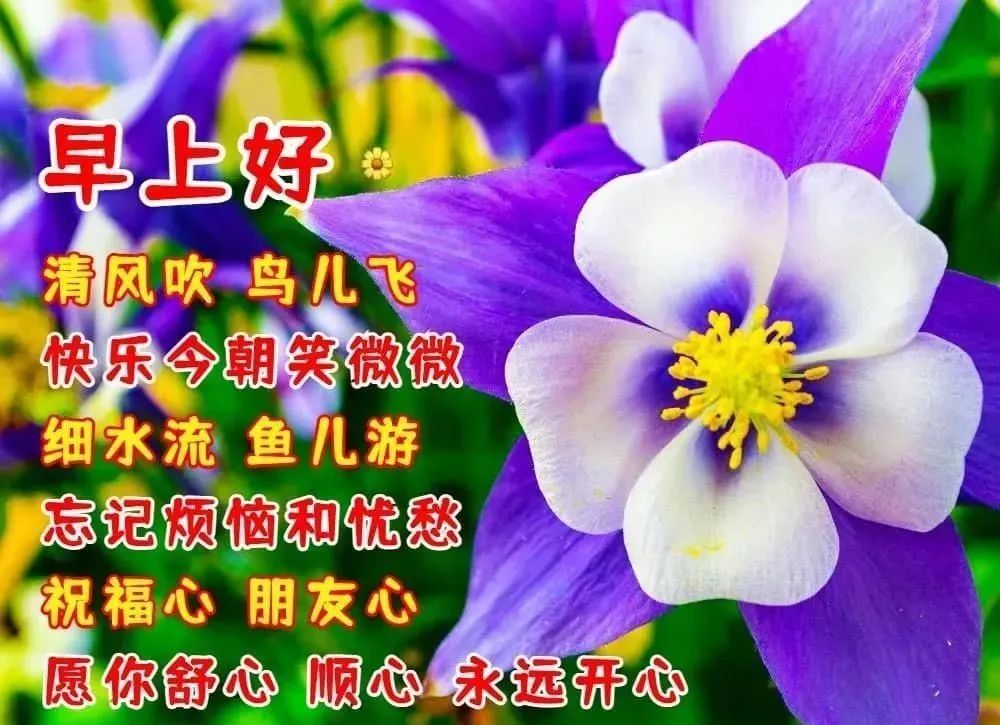 11月2日最漂亮早上好动态表情图片大全,秋天早安问候美图大全!