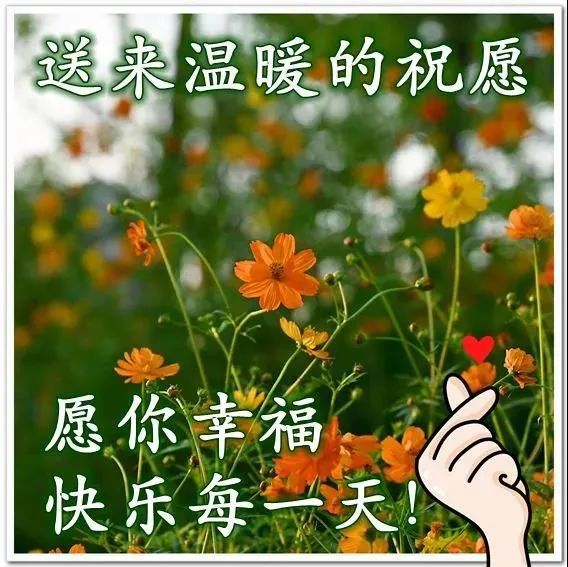2021年11月2日星期二漂亮早上好问候动态表情图片带字周二最美早安
