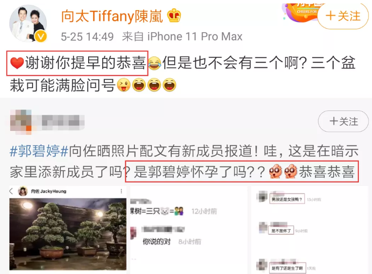 連城小說網手機版下載_獵人小說網免費閱讀_全本小說免費無彈窗在線閱讀