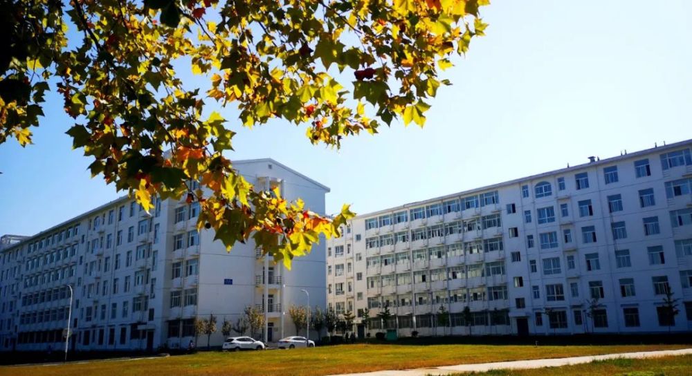 河南财政金融学院