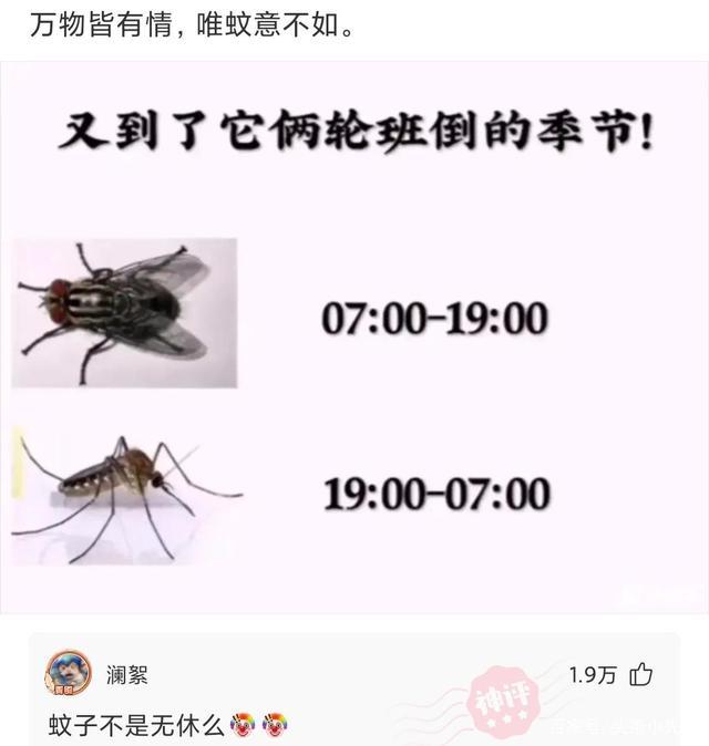 沙雕段子小明初一就已经满15岁了为什么初三还是15岁