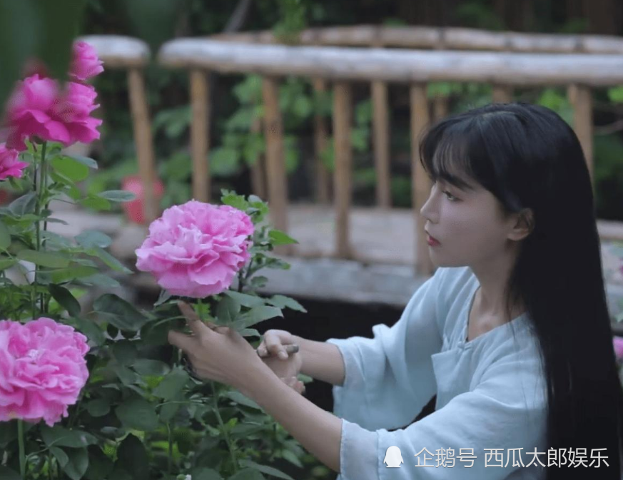 李子柒事件反转不断,资本败光路人缘,一系列骚操作惹全网众怒!