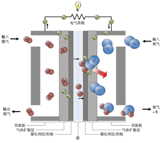 图6 质子交换膜燃料电池(pemfc)示意 数据来源:blogger中温燃料电池