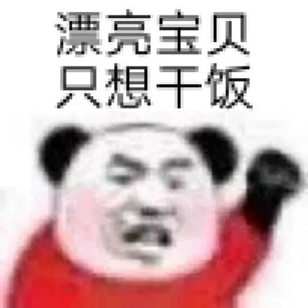 熊猫头漂亮宝贝不干了表情包67