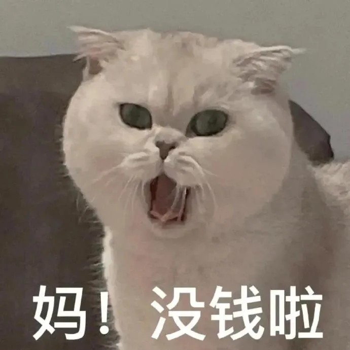 猫猫表情包|妈!我没钱了