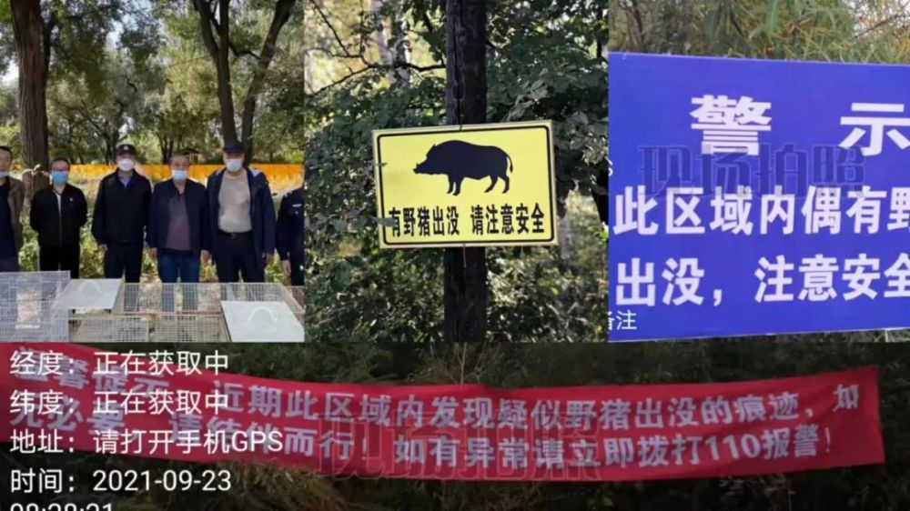 让保护野生动物成为新常态—黑龙江省各地"保护野生动物宣传月"宣传