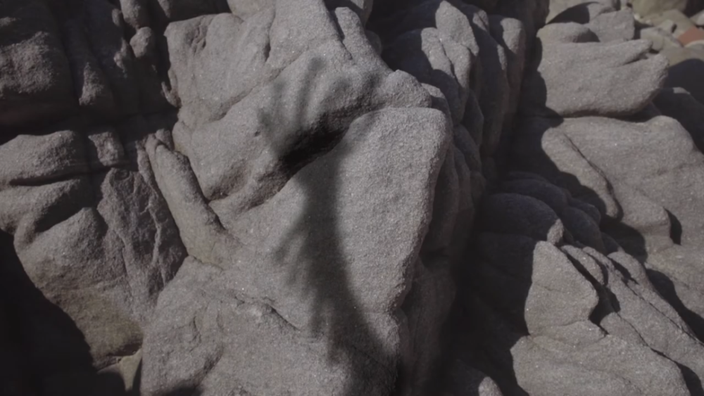 亚洲最好纪录片节,会被权力和金钱腐蚀吗?