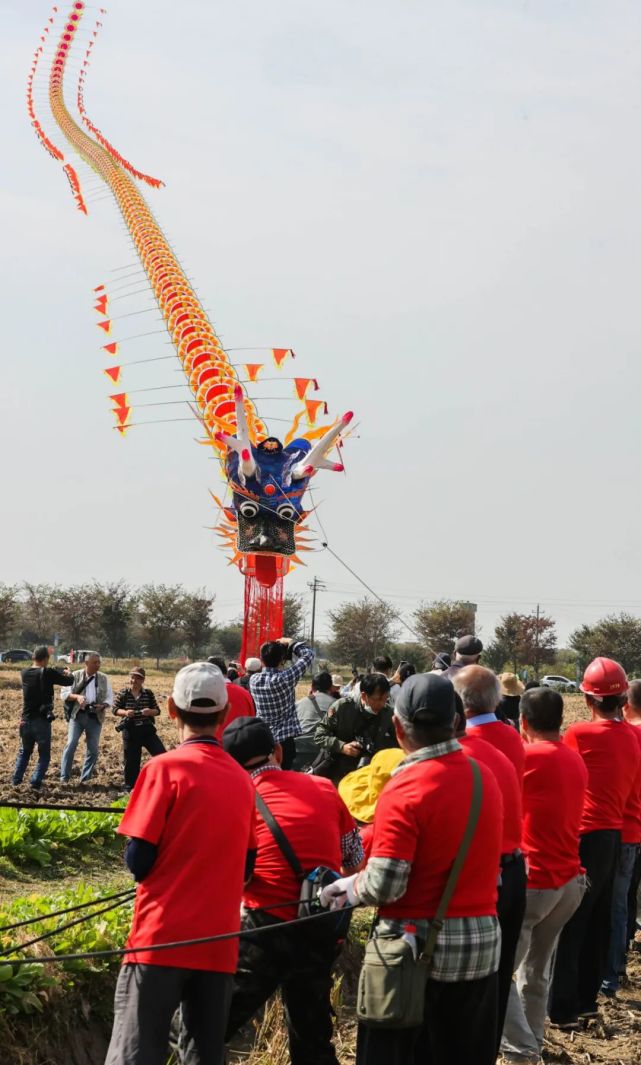 新市上空巨龙腾飞!