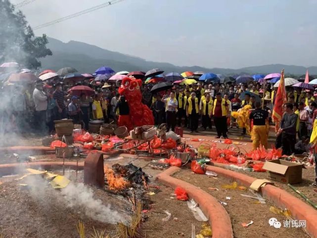 两广多地谢氏宗亲集体拜祭通天蜡烛祖婆坟,现场空前盛况,场面震撼!