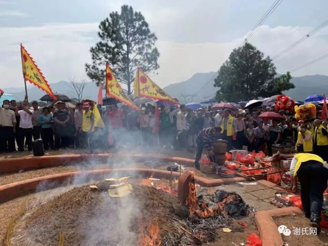 两广多地谢氏宗亲集体拜祭通天蜡烛祖婆坟,现场空前盛况,场面震撼!