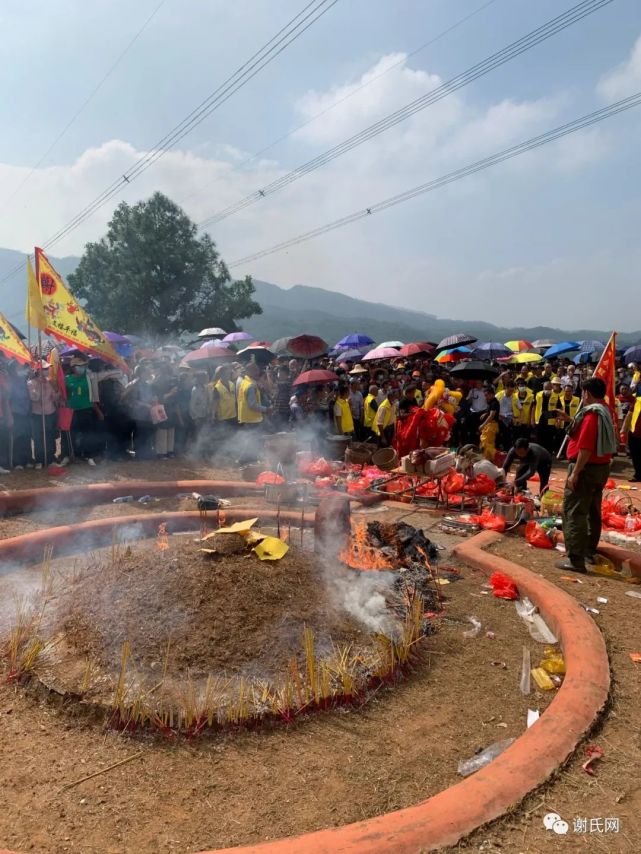 两广多地谢氏宗亲集体拜祭通天蜡烛祖婆坟,现场空前盛况,场面震撼!