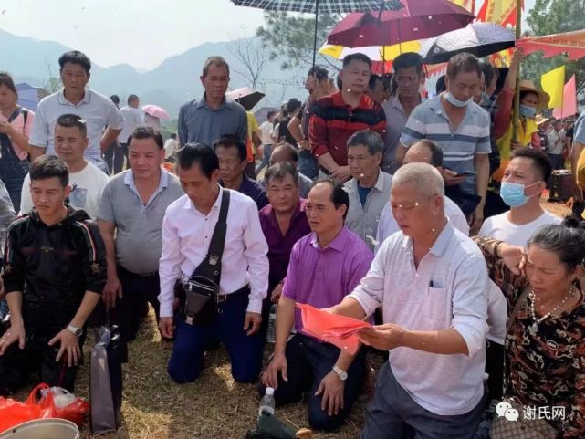 两广多地谢氏宗亲集体拜祭通天蜡烛祖婆坟,现场空前盛况,场面震撼!