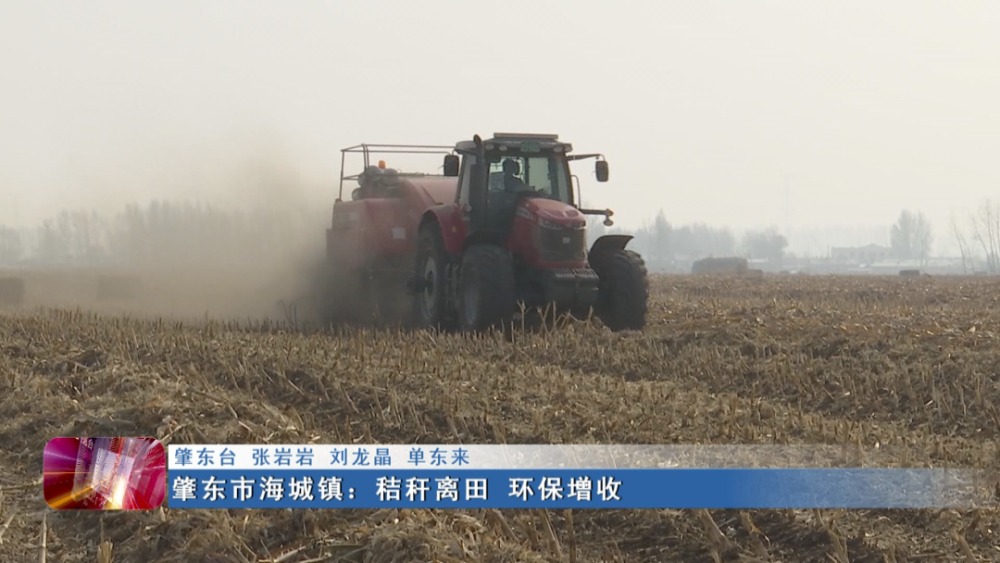 新闻联播▏肇东市海城镇:秸秆离田 环保增收
