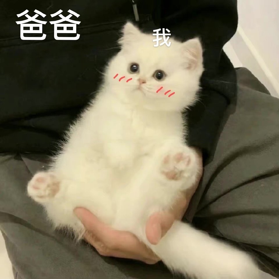 爸宝表情包来啦