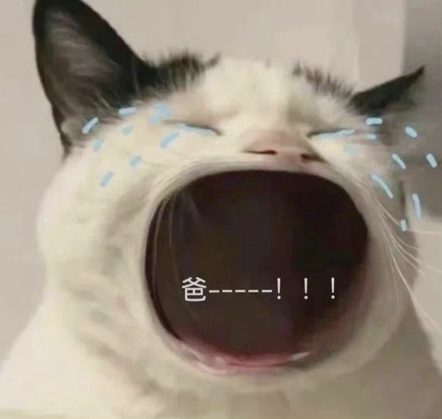 爸宝表情包来啦