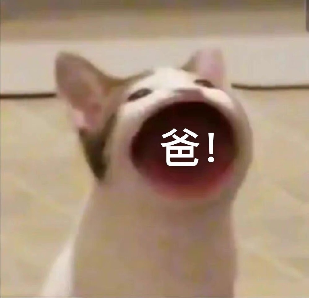 爸宝表情包来啦