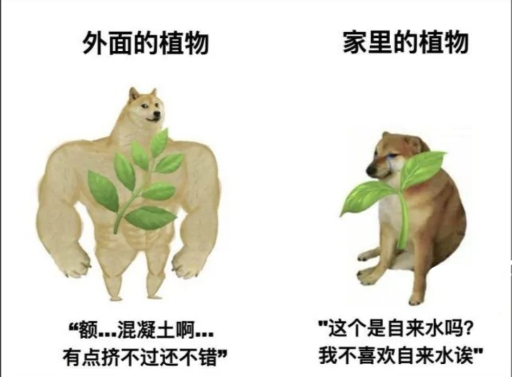 人间真实系列|第1期