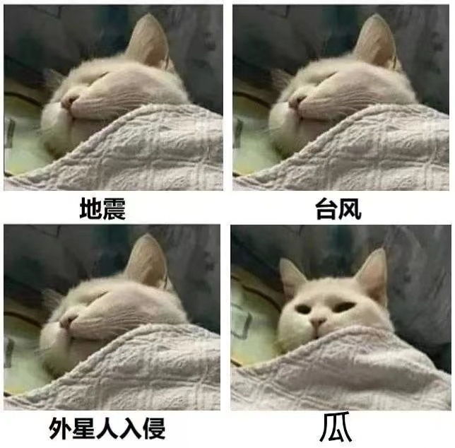 搞笑图片每当我心情烦躁的时候我就喜欢开着我的bmw吹吹风