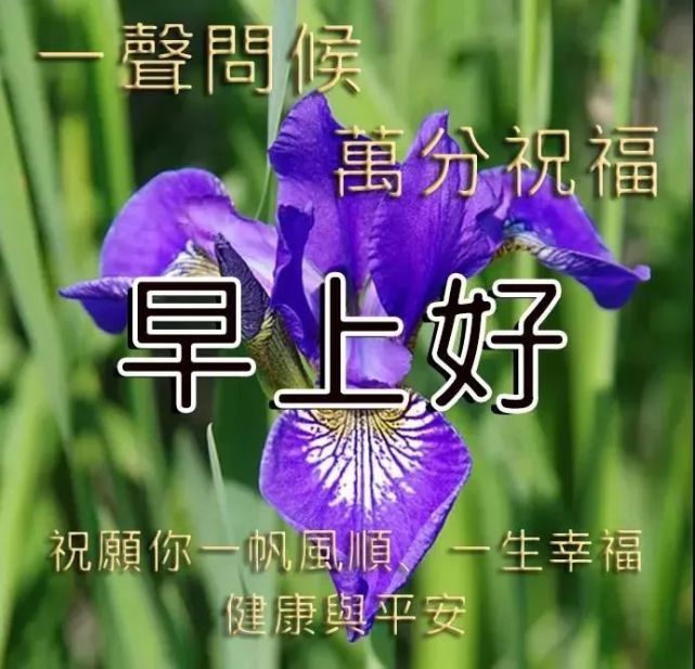 清晨最温馨的早上好祝福语短信,早安漂亮图片问候祝福