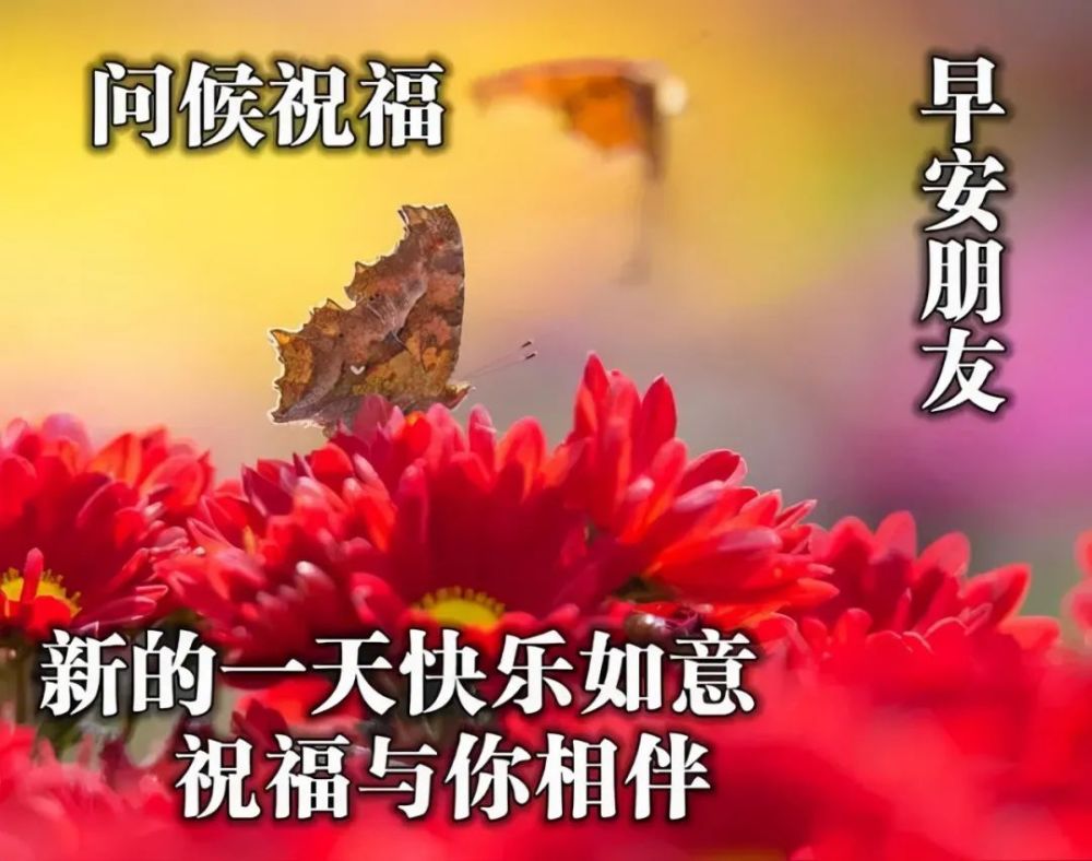 周三早上好精彩祝福语图片带字快乐的早上好问候语动态表情图片2021