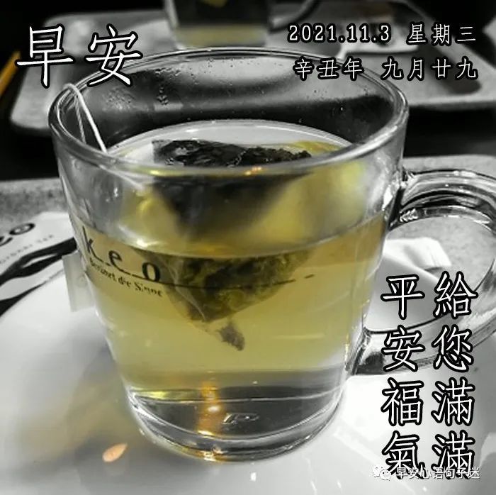 早晨好图片大全祝福早上好的句子