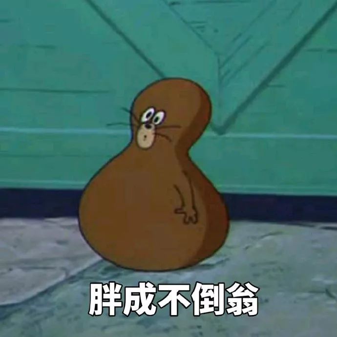 来都来了点个关注呗 图源网络侵删.