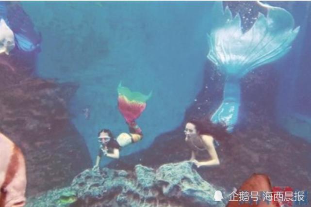 "美人鱼"母女演绎童话世界