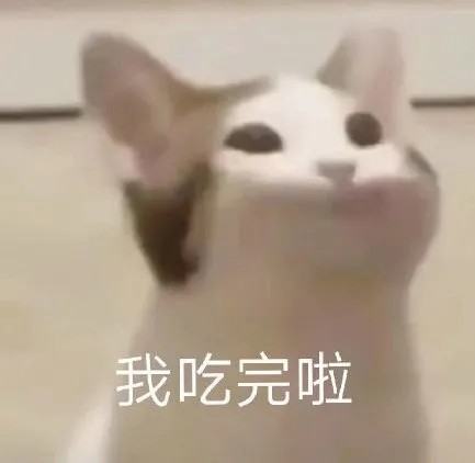 日常聊天猫猫表情包因为太笨被丢掉了