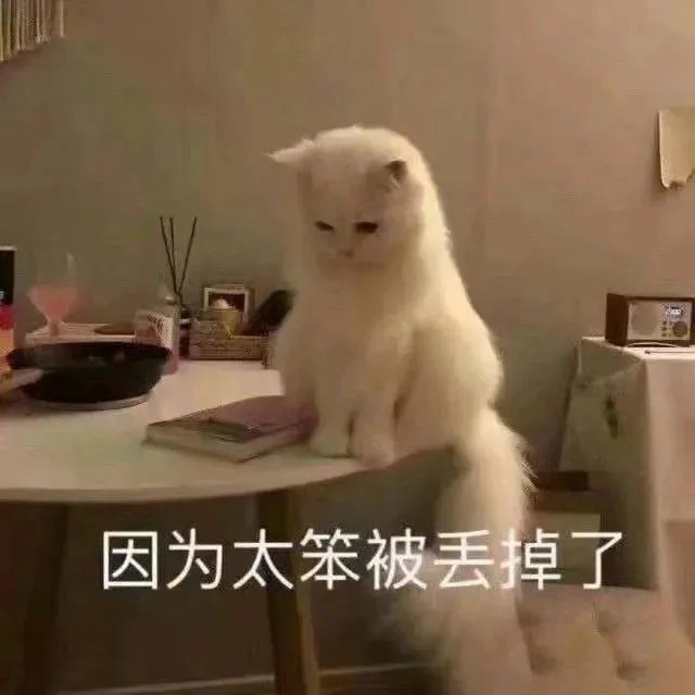 日常聊天猫猫表情包因为太笨被丢掉了